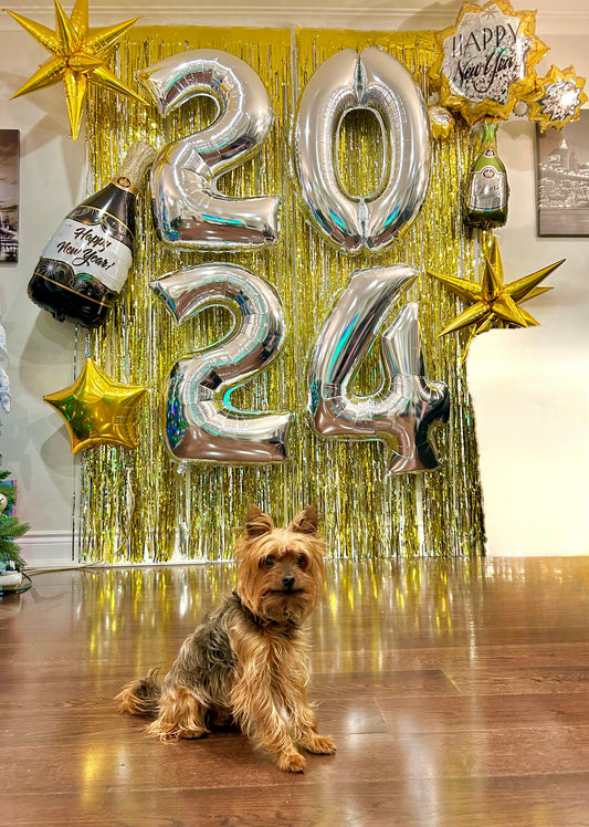 2026 New Year Photobooth Setup Toronto balloon backdrop Wooow Balloons