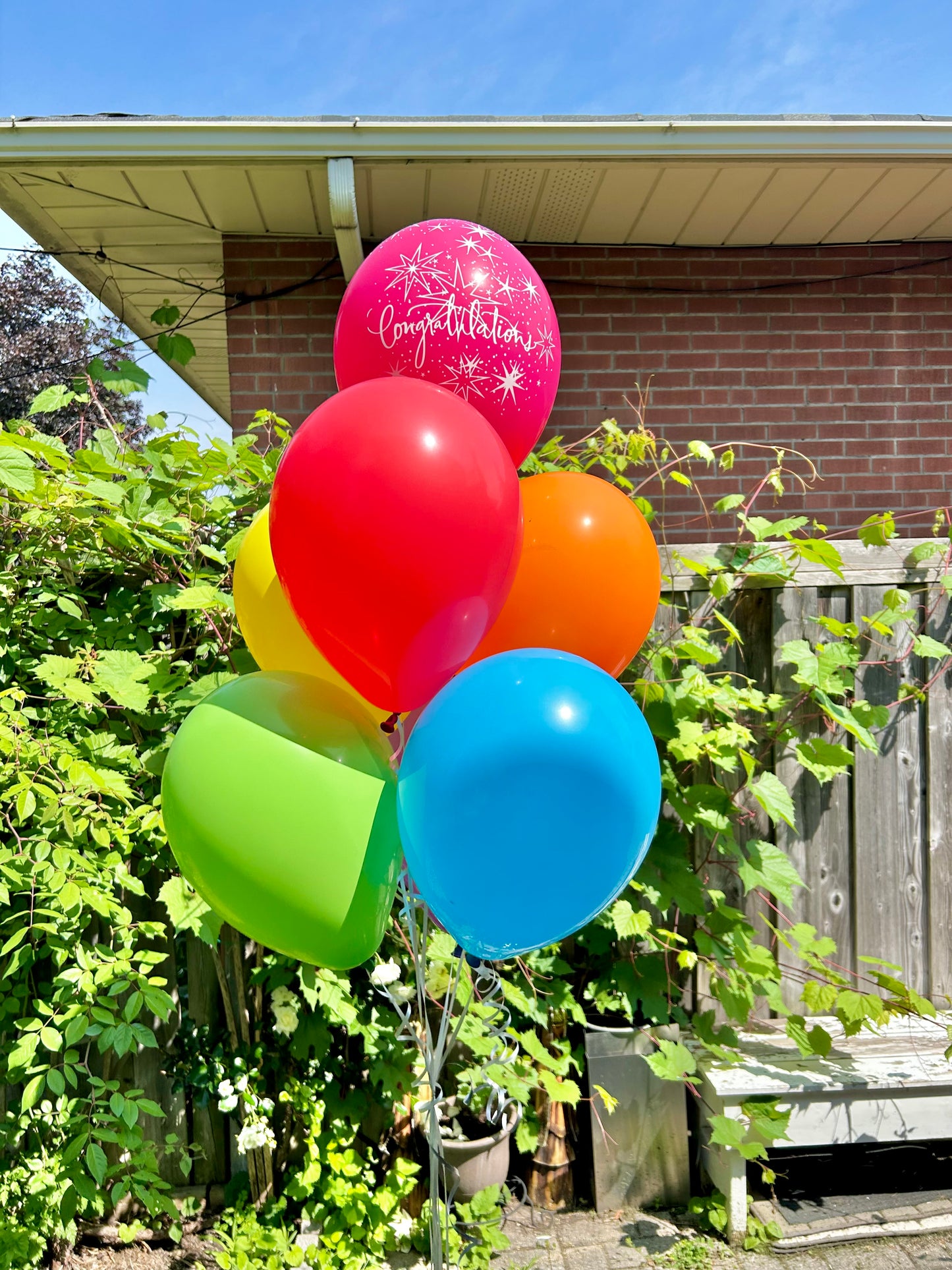 Congratulations Balloon Bouquet with helium-filled biodegradable balloons in a bunch of 7, including balloon weight and bag.