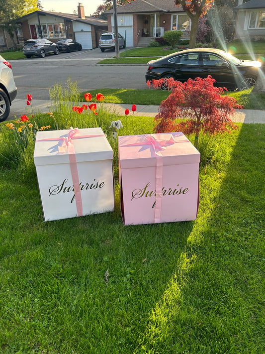 A beautifully wrapped Surprise Balloon Gift Box with 5 helium-filled balloons inside, perfect for celebrations, birthdays, and gender reveals.