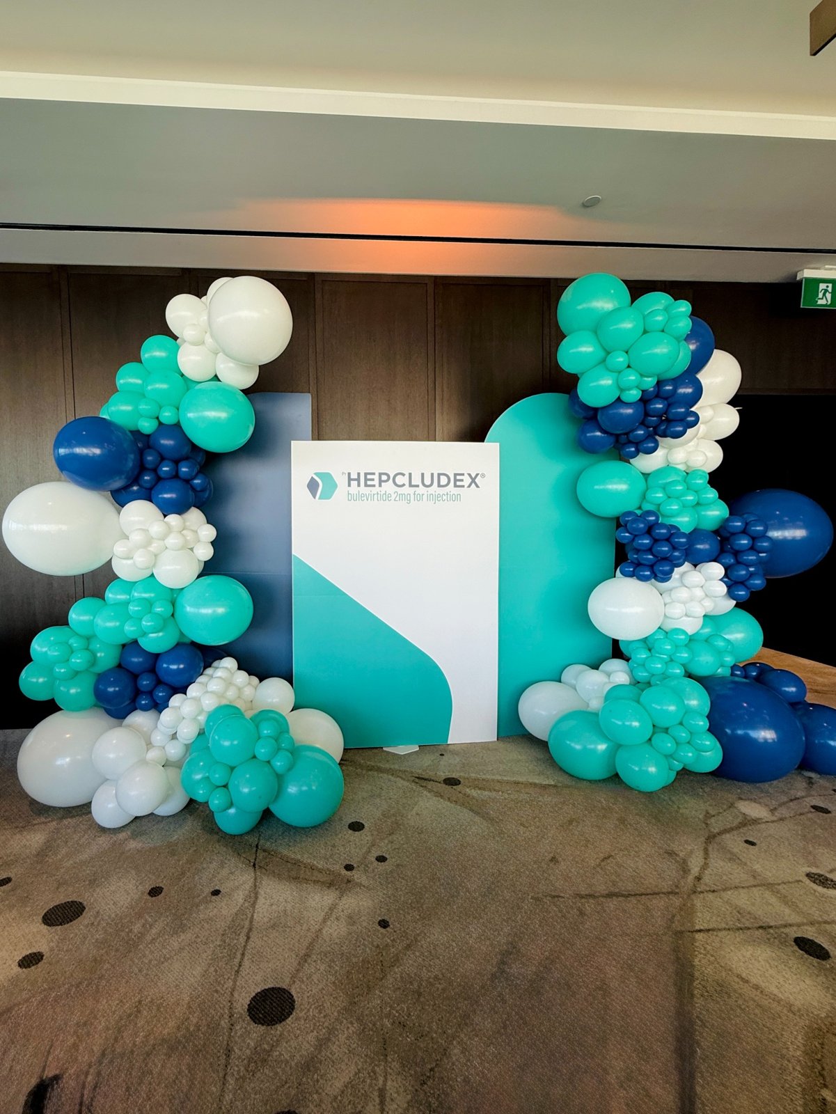 Professional balloon backdrop for brand activation Toronto
