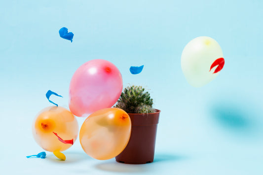 The Art of Balloon Decorating: Tips and Trends