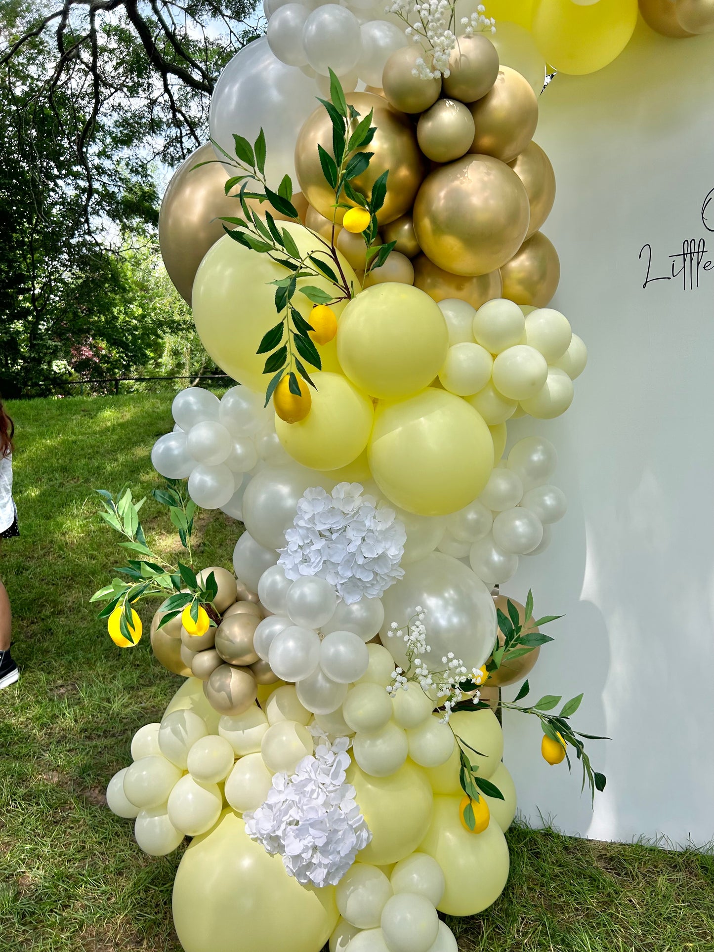 Lemon Balloon Decor🍋