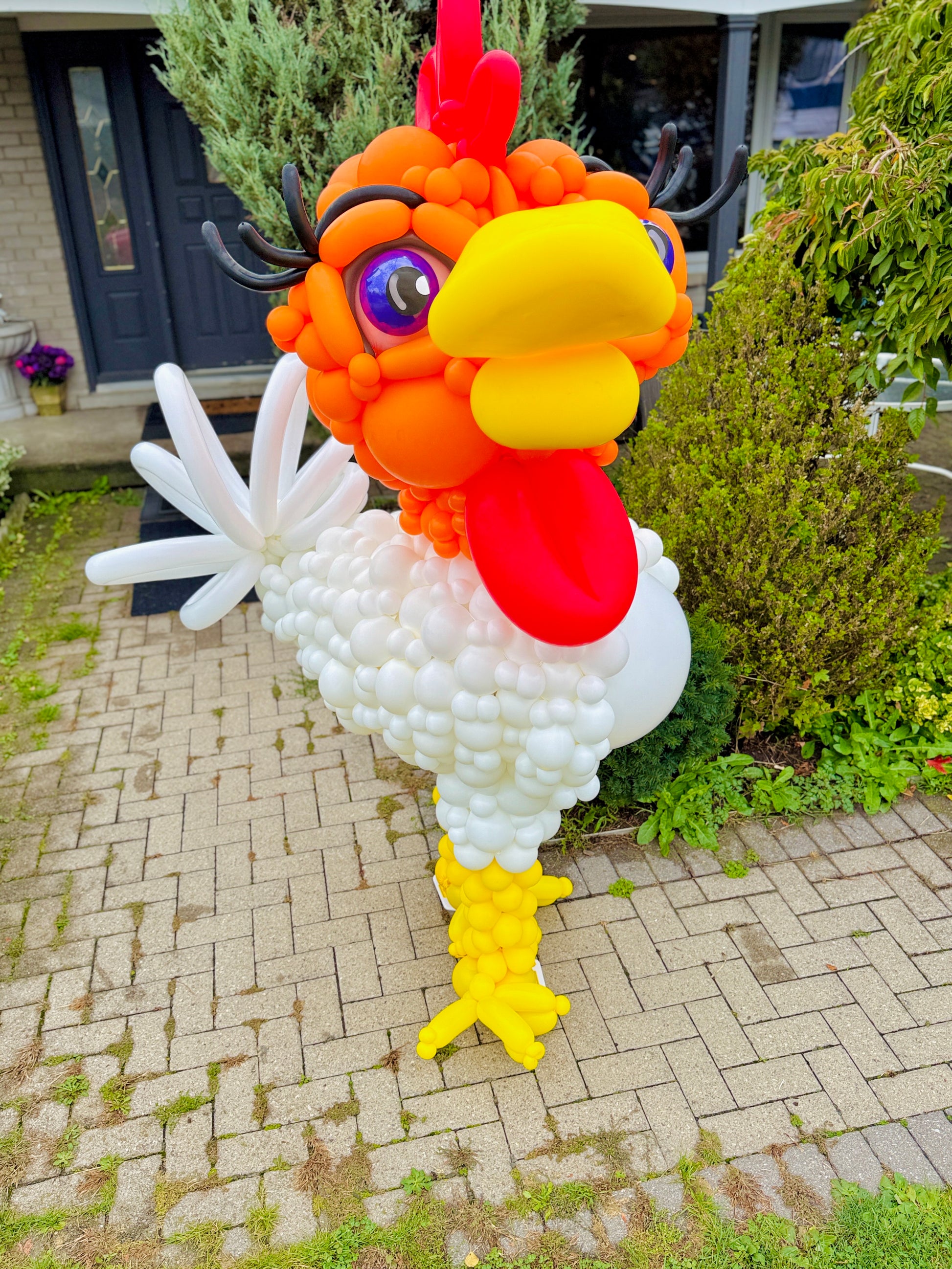 Balloon sculpture of a rooster on a patio