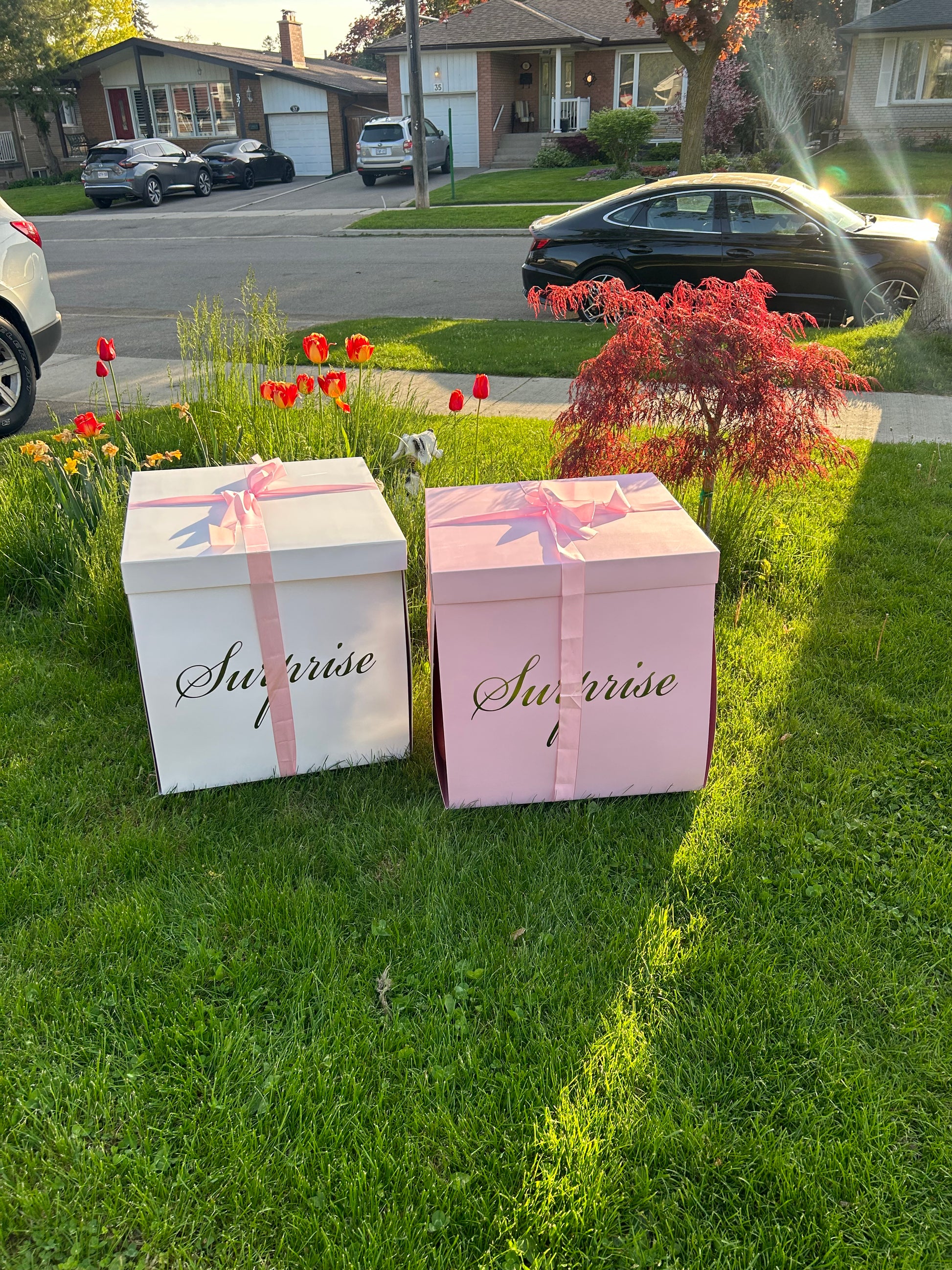 A beautifully wrapped Surprise Balloon Gift Box with 5 helium-filled balloons inside, perfect for celebrations, birthdays, and gender reveals.