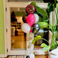 Happy Birthday balloon bouquet Toronto – Black, gold, and pink helium balloon arrangement for stylish birthday celebrations by Wooow Balloons Toronto