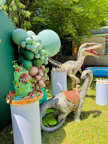 Dinosaur statues and themed cupcakes – Jurassic balloon setup in Toronto