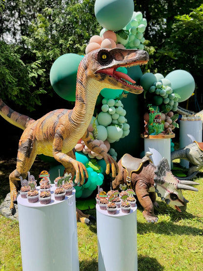 Full jungle dinosaur birthday installation – Wooow Balloons Toronto