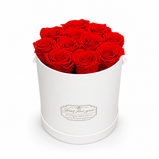 Luxury preserved red roses in white round box, long-lasting flower arrangement for gifts in Toronto